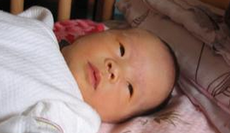 1448526531835461.png Image 001.png