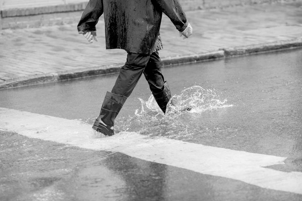 1448609807286206.jpg 240462-1511220R33414.jpg