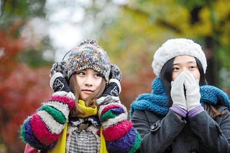 1448875493635419.jpg res14_attpic_brief-7500381.jpg