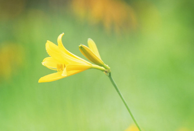 1448939122857527.jpg snap0375.jpg