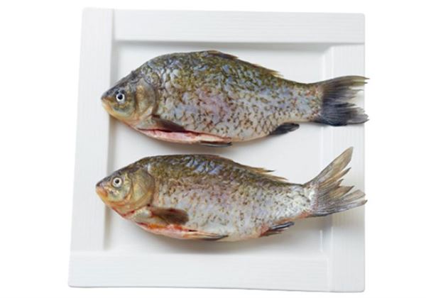 怎么吃海鮮才鮮 教你正確選購海鮮 怎么吃海鮮才鮮 教你正確選購海鮮