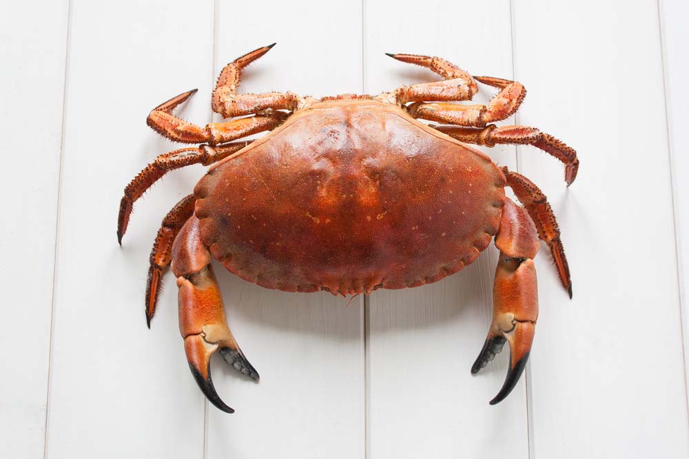 怎么吃海鮮才鮮 教你正確選購海鮮 怎么吃海鮮才鮮 教你正確選購海鮮