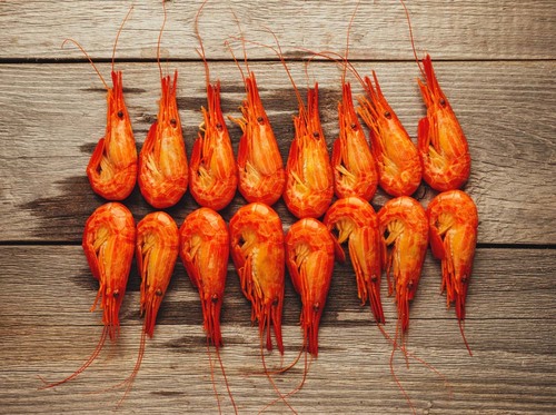 怎么吃海鮮才鮮 教你正確選購海鮮 怎么吃海鮮才鮮 教你正確選購海鮮