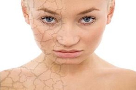 1449208619360264.jpg u=1245295926,3298655550&fm=21&gp=0.jpg