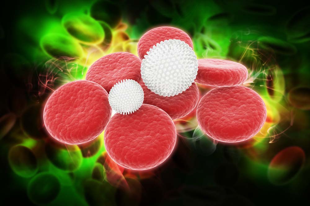 貧血的癥狀有哪些 貧血的癥狀有哪些