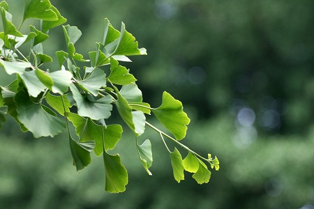 1449448746679910.jpg 4248696_153303077272_2.jpg