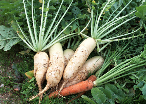 1449642700157299.jpg 6447-1112230U23579.jpg