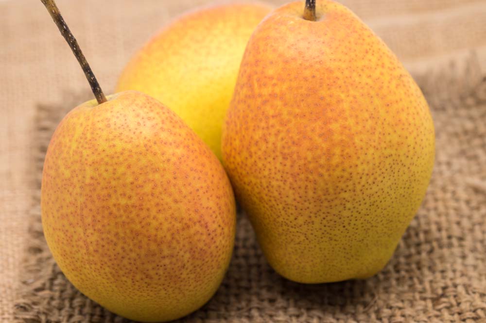 1449653161968833.jpg 240424-15110110291460.jpg