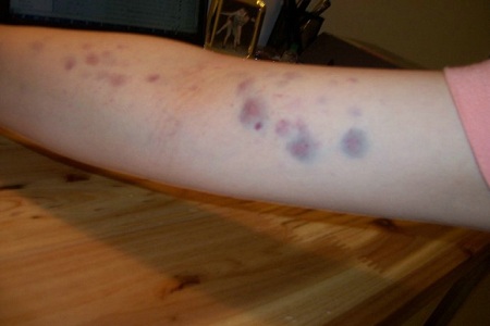 1449711387167379.jpg 12-10-43-77-1.jpg