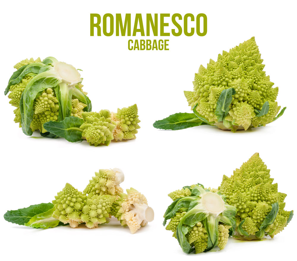 1449731170688995.jpg 240415-15041FFH543.jpg