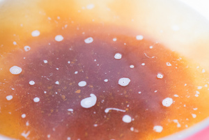 1450157982106447.jpg 15868999709_5d8444a427_o.jpg