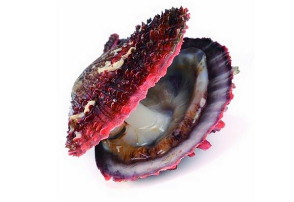 1450161802766802.jpg 90401.jpg