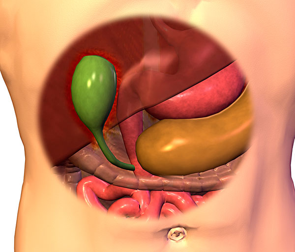 1450169791352370.jpg 1574r-018891.jpg