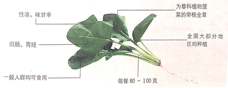 1450314986765529.jpg 3.jpg