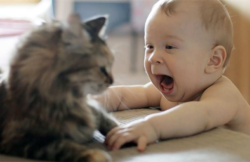 1450660807926983.jpg 1.jpg