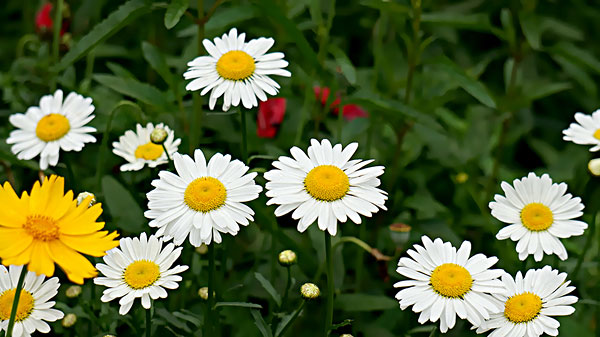 1450942834480438.jpg east-ep-a71-4351078.jpg