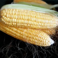 1451283943571521.jpg 1.jpg