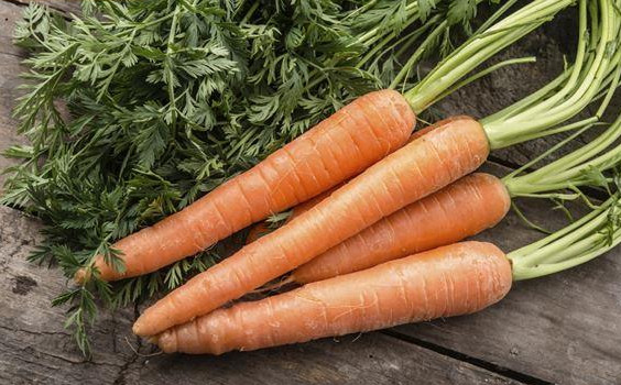 1451455842176239.jpg snap018.jpg