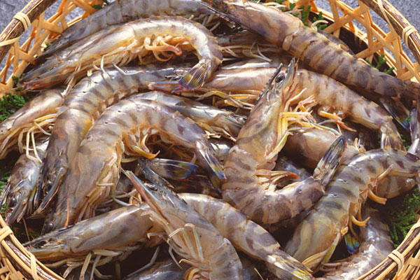 1451462162392859.jpg 10137002736.jpg