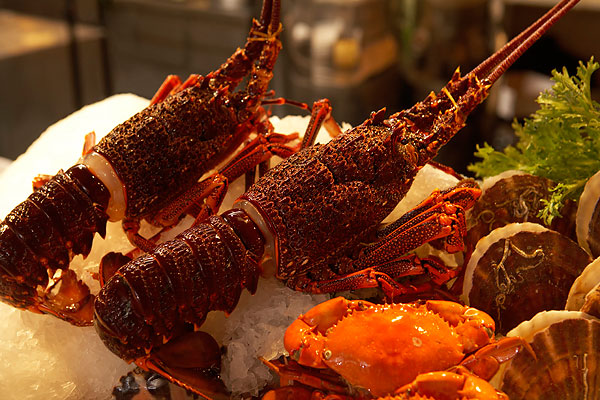 1451462176603505.jpg bmh-rf-pop019469.jpg