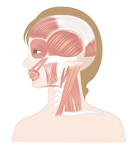 1452059394725299.jpg 23537444922_3d31340af6.jpg