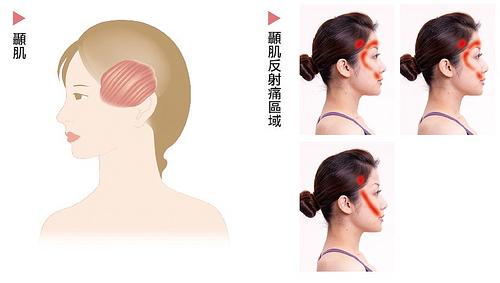 1452059628566709.jpg 23350322180_8feb561d8a.jpg