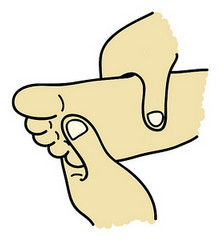 1452157806462427.jpg snap003.jpg