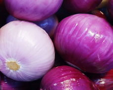 哺乳期能吃洋蔥嗎.png 哺乳期能吃洋蔥嗎.png