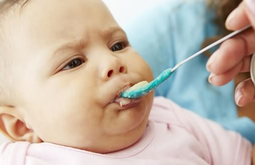 寶寶什么時候可以開始吃肉.png 寶寶什么時候可以開始吃肉.png