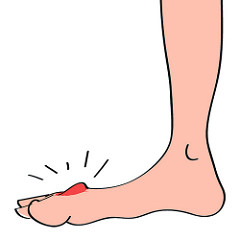 1453787125776214.jpg 24468647416_da46be624c_m.jpg