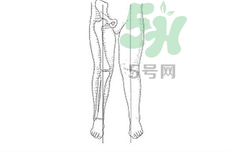 寶寶站立過早會(huì)引起腿變形嗎? 寶寶站立過早會(huì)引起腿變形嗎?