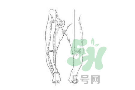 寶寶站立過早會(huì)引起腿變形嗎? 寶寶站立過早會(huì)引起腿變形嗎?