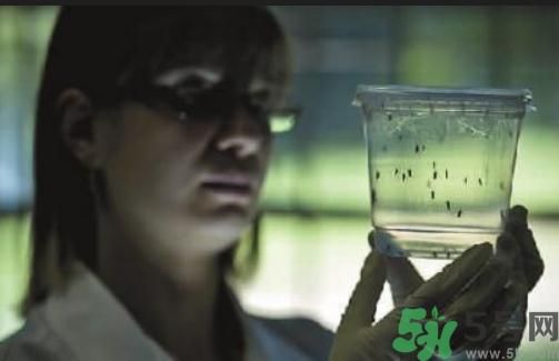 塞卡病毒診斷治療預防一體化療程 塞卡病毒診斷治療預防一體化療程