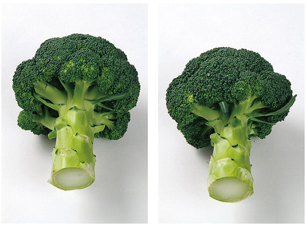 綠花椰挑選切口呈漂亮的圓形，花蕾緊密的