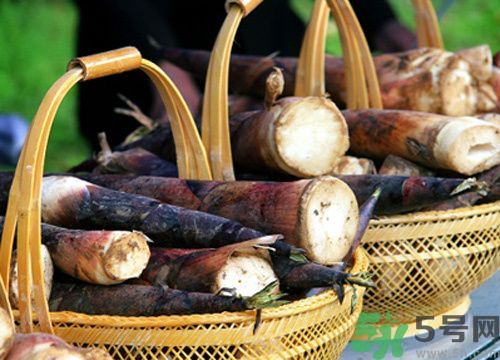 春筍放冰箱發(fā)黑還能吃嗎?吃春筍的四個(gè)建議 春筍放冰箱發(fā)黑還能吃嗎?吃春筍的四個(gè)建議