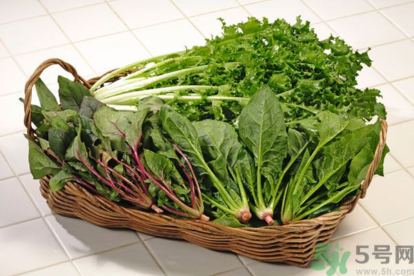 菠菜和魷魚能一起吃嗎 菠菜不能和什么同食