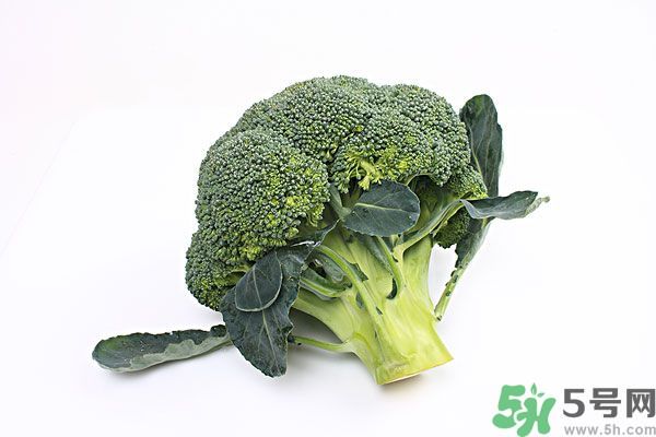 胃不好可以吃西蘭花嗎 胃病吃什么食物養(yǎng)胃 胃不好可以吃西蘭花嗎 胃病吃什么食物養(yǎng)胃