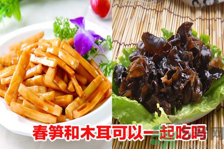 春筍和木耳可以搭配吃嗎?春筍木耳全面解析 春筍和木耳可以搭配吃嗎?春筍木耳全面解析