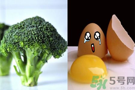 西蘭花和雞蛋能否同吃呢?西蘭花雞蛋有什么作用 西蘭花和雞蛋能否同吃呢?西蘭花雞蛋有什么作用