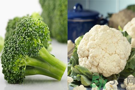 西蘭花和花椰菜有何區(qū)別?西蘭花花椰菜的效果怎么樣? 西蘭花和花椰菜有何區(qū)別?西蘭花花椰菜的效果怎么樣?