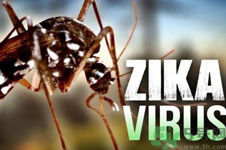 寨卡病毒危害嚴(yán)重嗎?如何預(yù)防寨卡病毒 寨卡病毒危害嚴(yán)重嗎?如何預(yù)防寨卡病毒