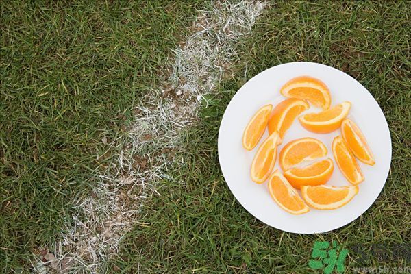 橘子上的白絲能吃嗎 橘子上的白絲有什么作用 橘子上的白絲能吃嗎 橘子上的白絲有什么作用