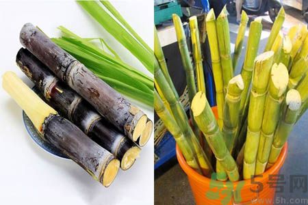 紫皮甘蔗和綠皮甘蔗有什么區(qū)別?哪種最好吃? 紫皮甘蔗和綠皮甘蔗有什么區(qū)別?哪種最好吃?