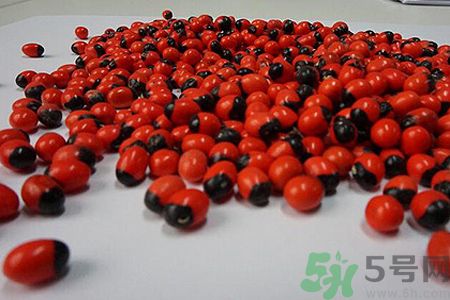 雞母珠中毒有得救嗎?雞母珠劇毒的急救方法 雞母珠中毒有得救嗎?雞母珠劇毒的急救方法