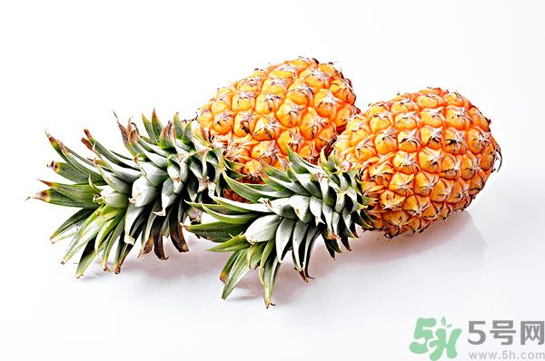 芒果和菠蘿能一起吃嗎？芒果和菠蘿一起吃好嗎？