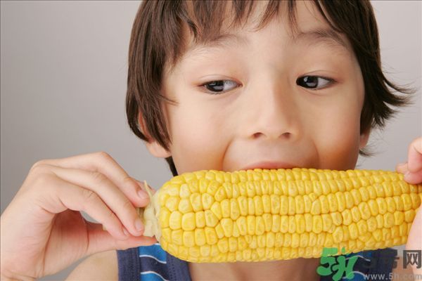 痔瘡可以吃玉米嗎？得了痔瘡能不能吃玉米？