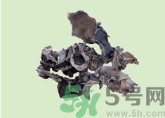 高血壓可以吃黑木耳嗎？木耳降血壓的做法有哪些？