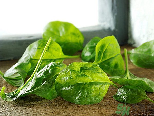 缺鐵有什么癥狀和危害？含鐵高的食物有哪些？