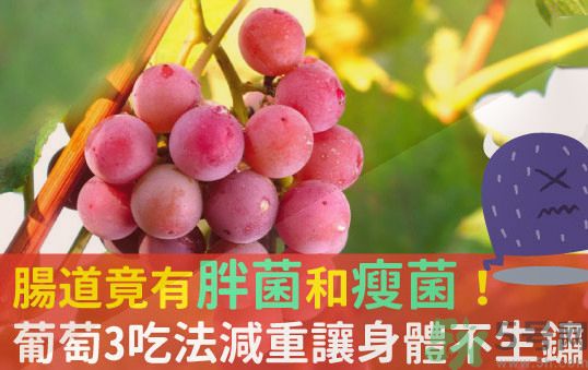 吃葡萄可以不吐葡萄籽嗎？吃葡萄皮好不好？
