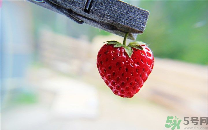 如何辨別草莓有沒有打膨大劑？如何清洗草莓才干凈？